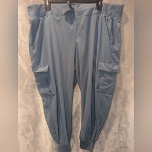Women's Stretch Woven Tapered Cargo Pants - All in Motion Light Blue XXL